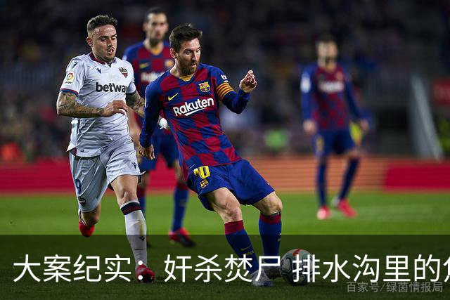 大案纪实：奸杀焚尸 排水沟里的焦尸沉冤16年 疫情摸排锁定真凶